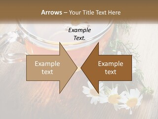 Leaf Warm Organic PowerPoint Template