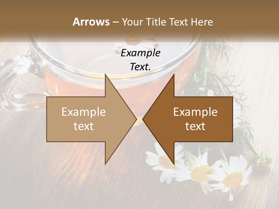 Leaf Warm Organic PowerPoint Template