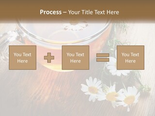 Leaf Warm Organic PowerPoint Template