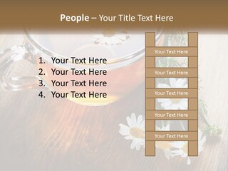 Leaf Warm Organic PowerPoint Template