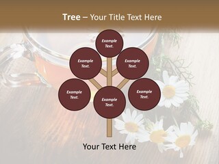 Leaf Warm Organic PowerPoint Template