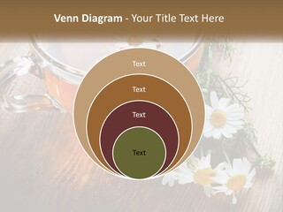 Leaf Warm Organic PowerPoint Template