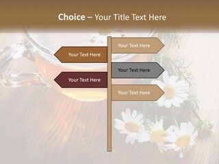 Leaf Warm Organic PowerPoint Template