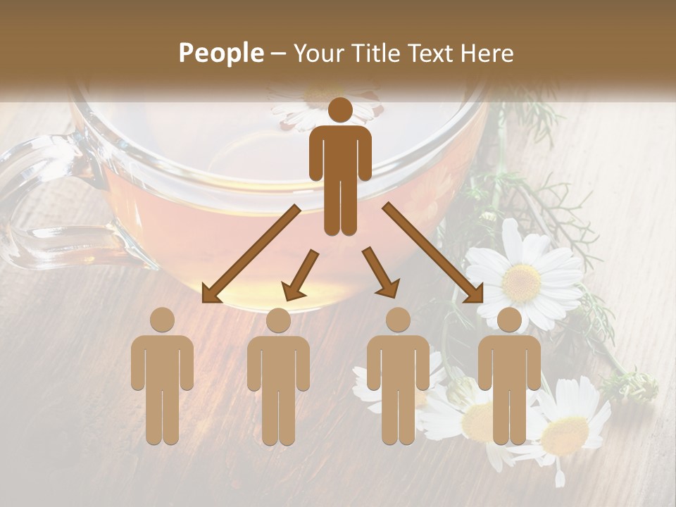 Leaf Warm Organic PowerPoint Template