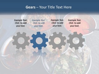 Colorful Thai Outdoor PowerPoint Template