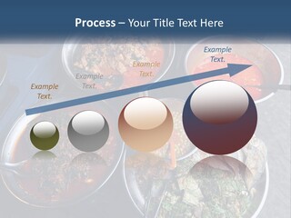 Colorful Thai Outdoor PowerPoint Template
