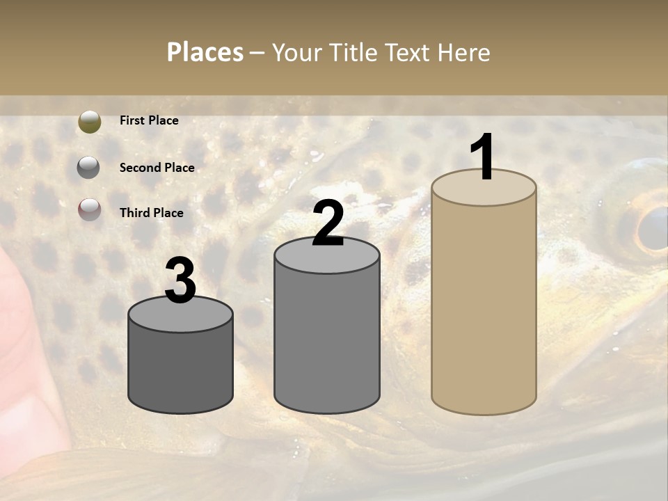 Fishing Rainbow Catch PowerPoint Template