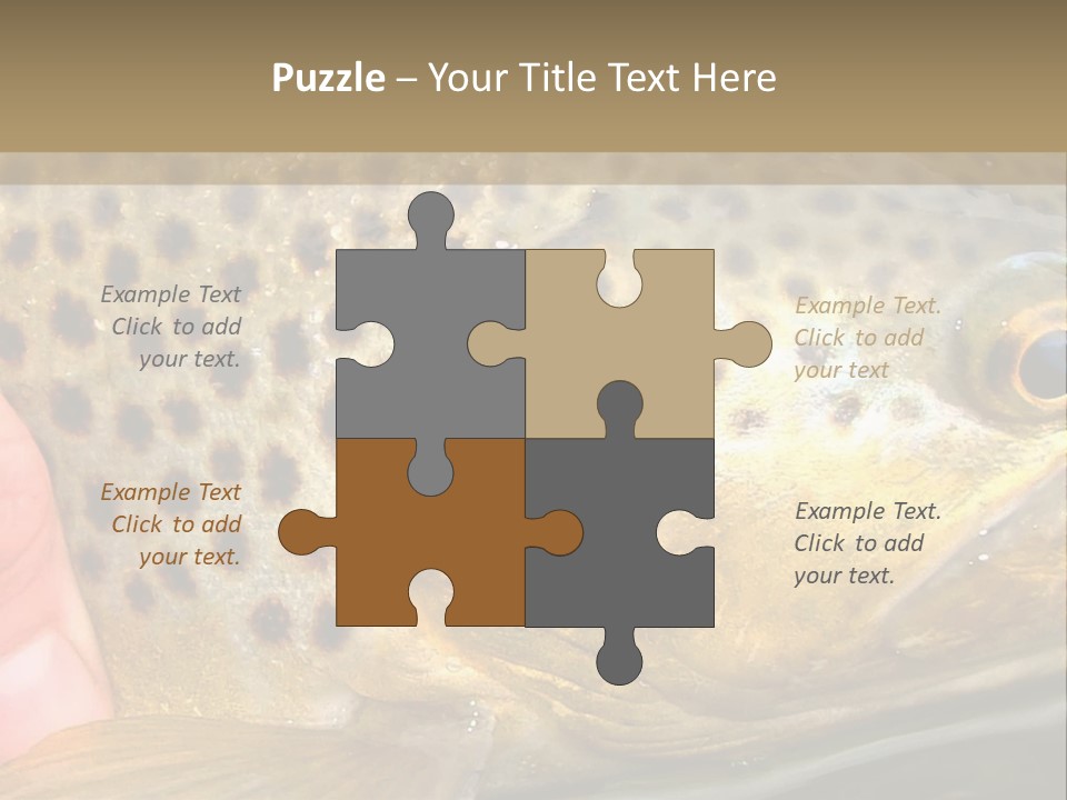 Fishing Rainbow Catch PowerPoint Template