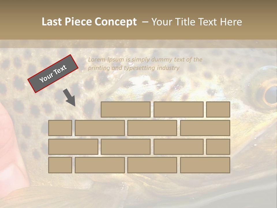 Fishing Rainbow Catch PowerPoint Template