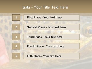 Fishing Rainbow Catch PowerPoint Template