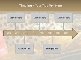 Fishing Rainbow Catch PowerPoint Template