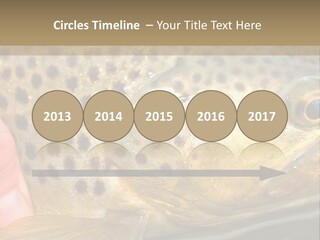 Fishing Rainbow Catch PowerPoint Template