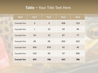 Fishing Rainbow Catch PowerPoint Template