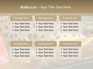 Fishing Rainbow Catch PowerPoint Template