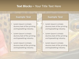 Fishing Rainbow Catch PowerPoint Template