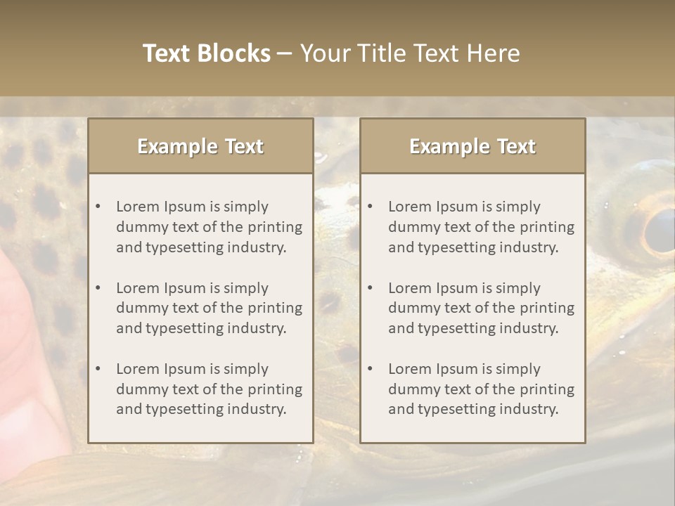 Fishing Rainbow Catch PowerPoint Template