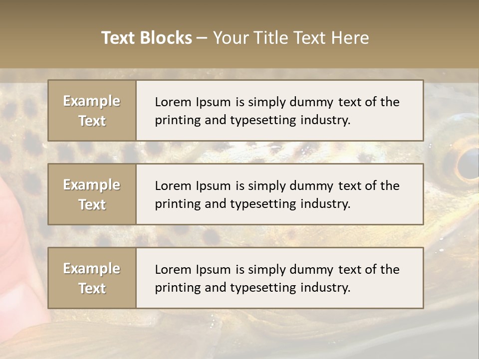 Fishing Rainbow Catch PowerPoint Template