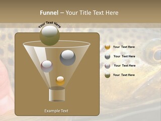 Fishing Rainbow Catch PowerPoint Template