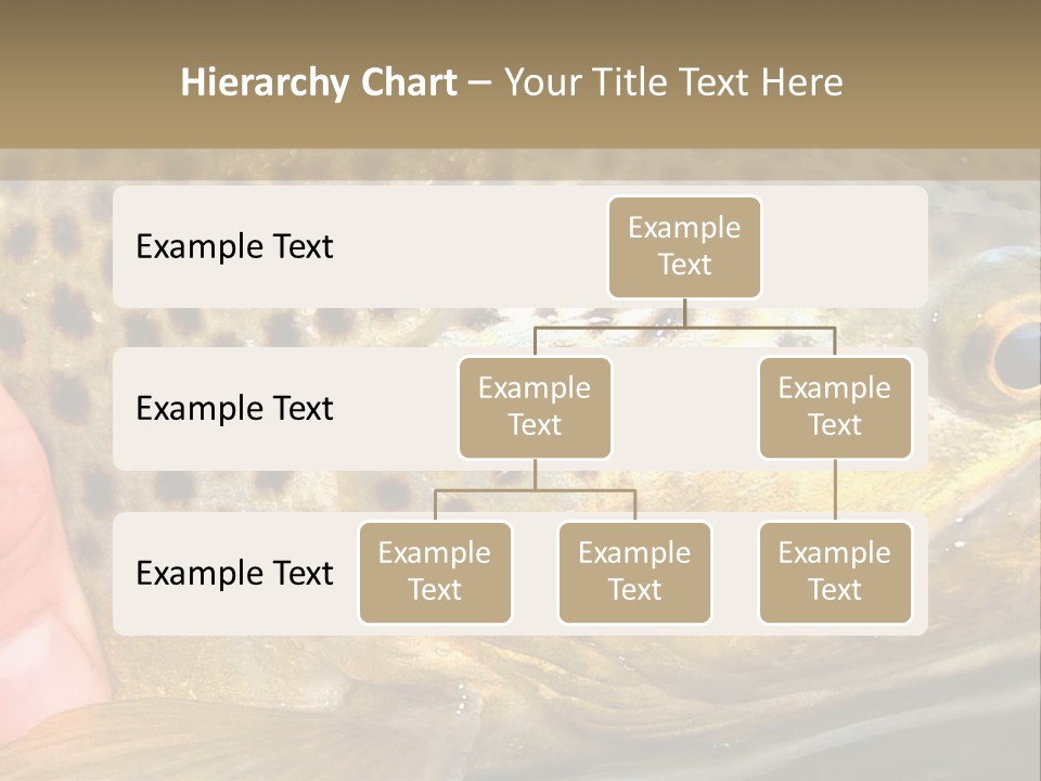 Fishing Rainbow Catch PowerPoint Template