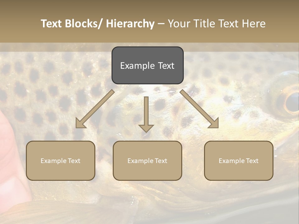 Fishing Rainbow Catch PowerPoint Template