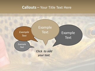 Fishing Rainbow Catch PowerPoint Template