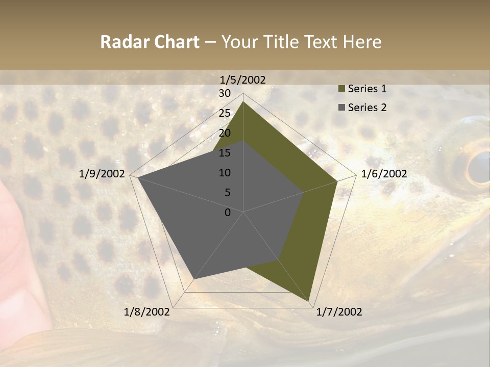 Fishing Rainbow Catch PowerPoint Template