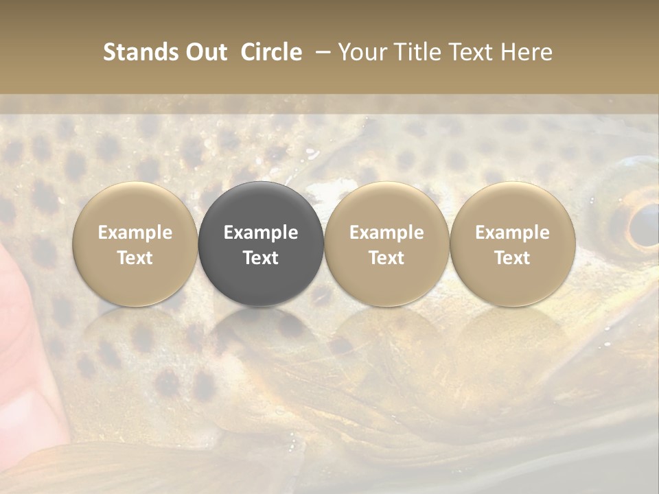 Fishing Rainbow Catch PowerPoint Template