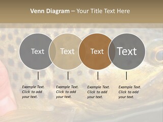 Fishing Rainbow Catch PowerPoint Template