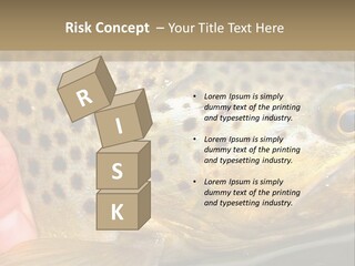 Fishing Rainbow Catch PowerPoint Template
