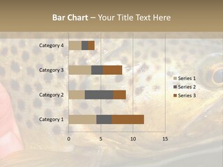 Fishing Rainbow Catch PowerPoint Template