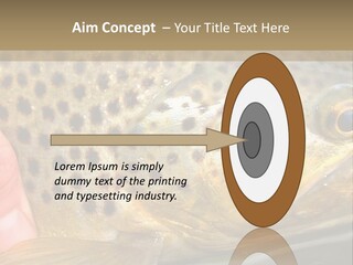 Fishing Rainbow Catch PowerPoint Template
