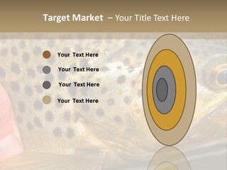 Fishing Rainbow Catch PowerPoint Template