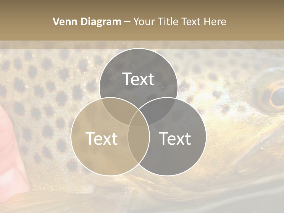 Fishing Rainbow Catch PowerPoint Template