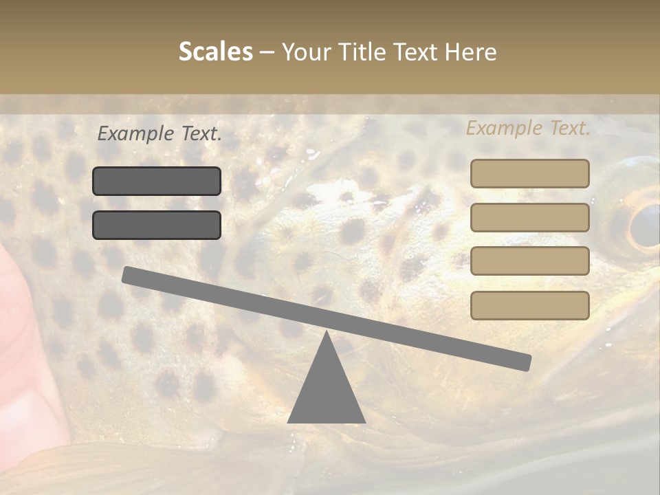 Fishing Rainbow Catch PowerPoint Template