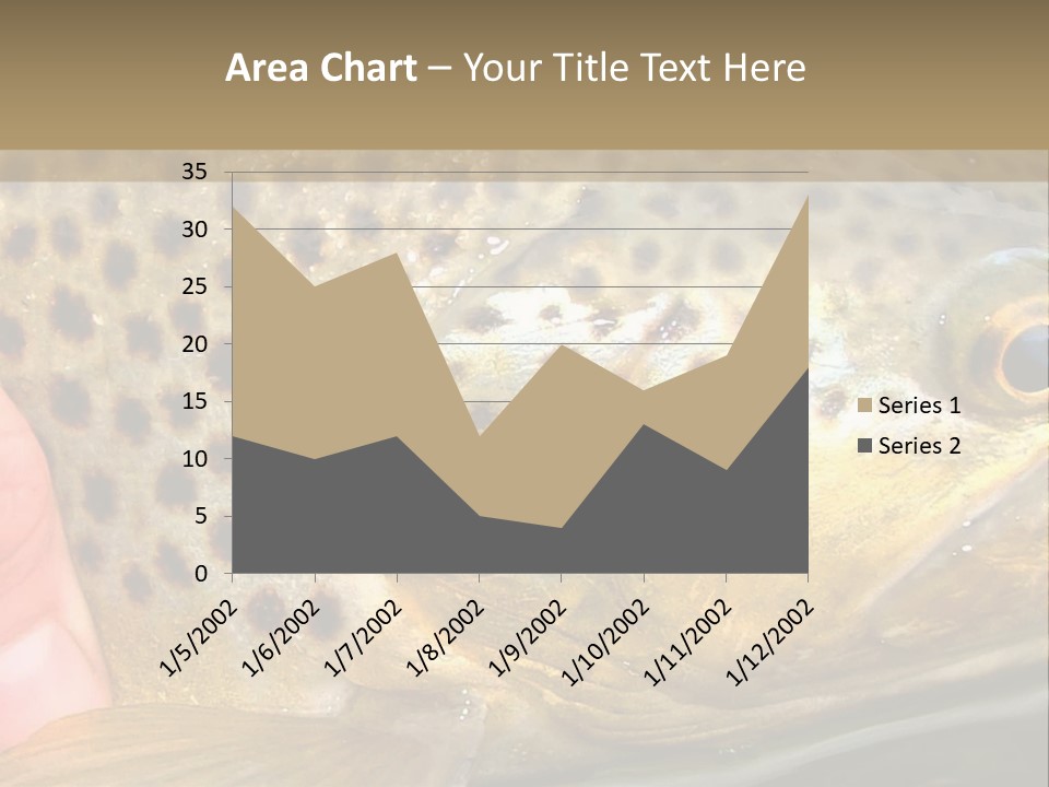 Fishing Rainbow Catch PowerPoint Template