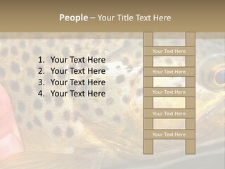 Fishing Rainbow Catch PowerPoint Template