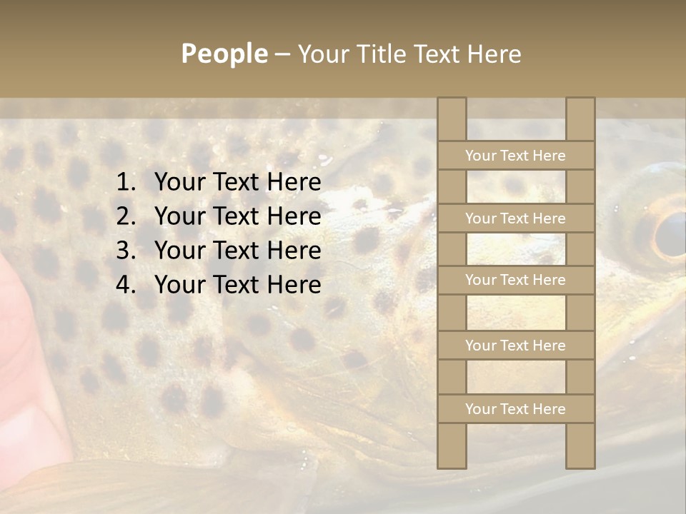 Fishing Rainbow Catch PowerPoint Template