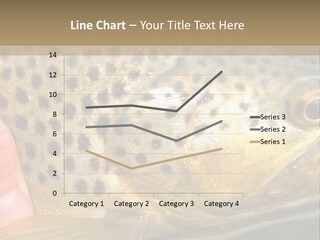 Fishing Rainbow Catch PowerPoint Template