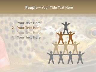 Fishing Rainbow Catch PowerPoint Template