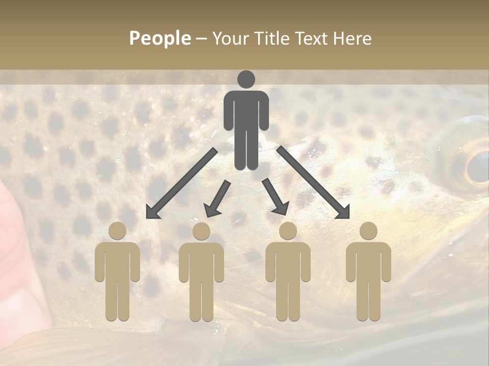 Fishing Rainbow Catch PowerPoint Template