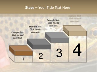 Fishing Rainbow Catch PowerPoint Template