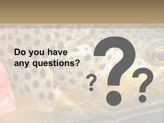 Fishing Rainbow Catch PowerPoint Template