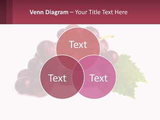 Harvest Fruit Juicy PowerPoint Template