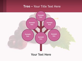 Harvest Fruit Juicy PowerPoint Template