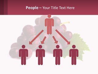 Harvest Fruit Juicy PowerPoint Template