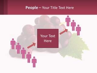 Harvest Fruit Juicy PowerPoint Template