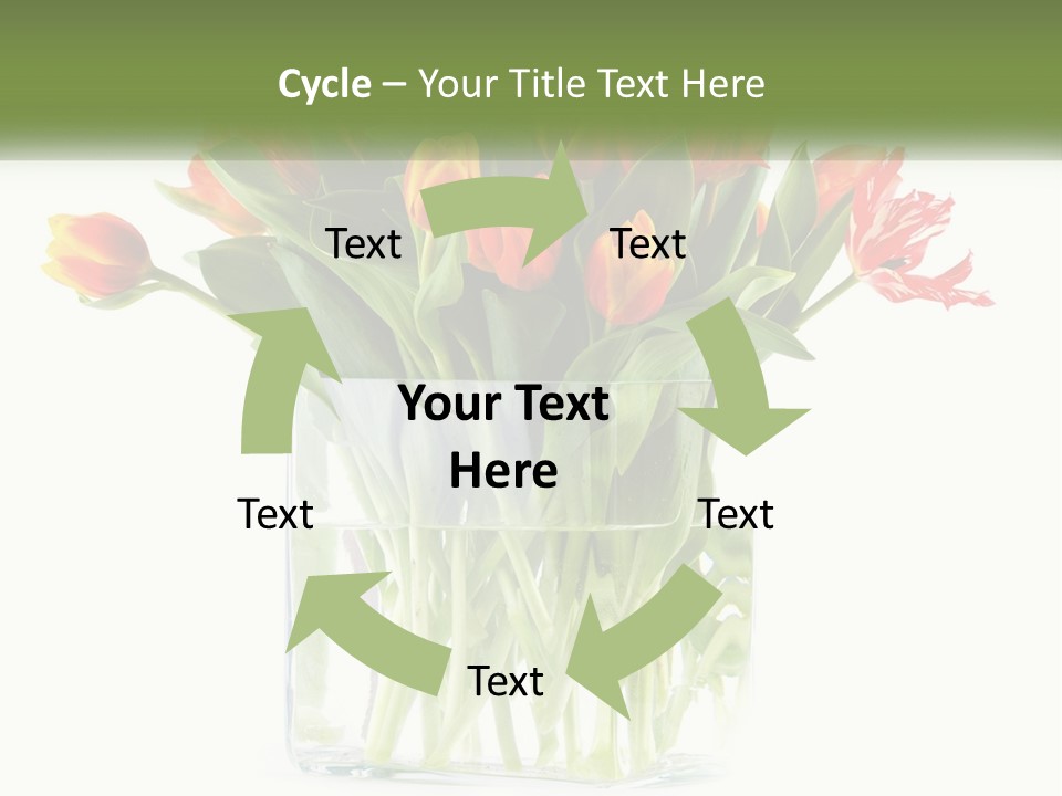 Cartoon Bday Cake PowerPoint Template