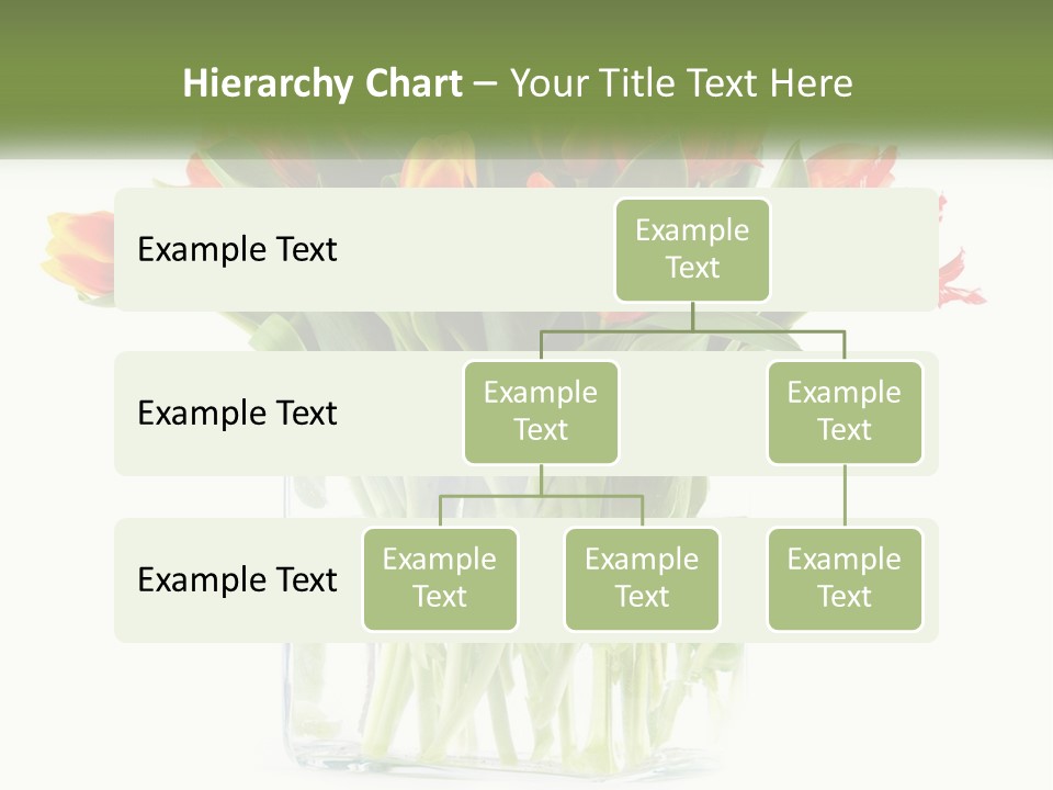 Cartoon Bday Cake PowerPoint Template