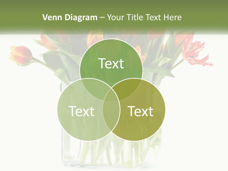 Cartoon Bday Cake PowerPoint Template