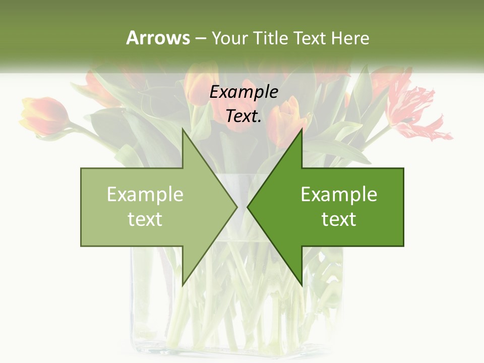 Cartoon Bday Cake PowerPoint Template